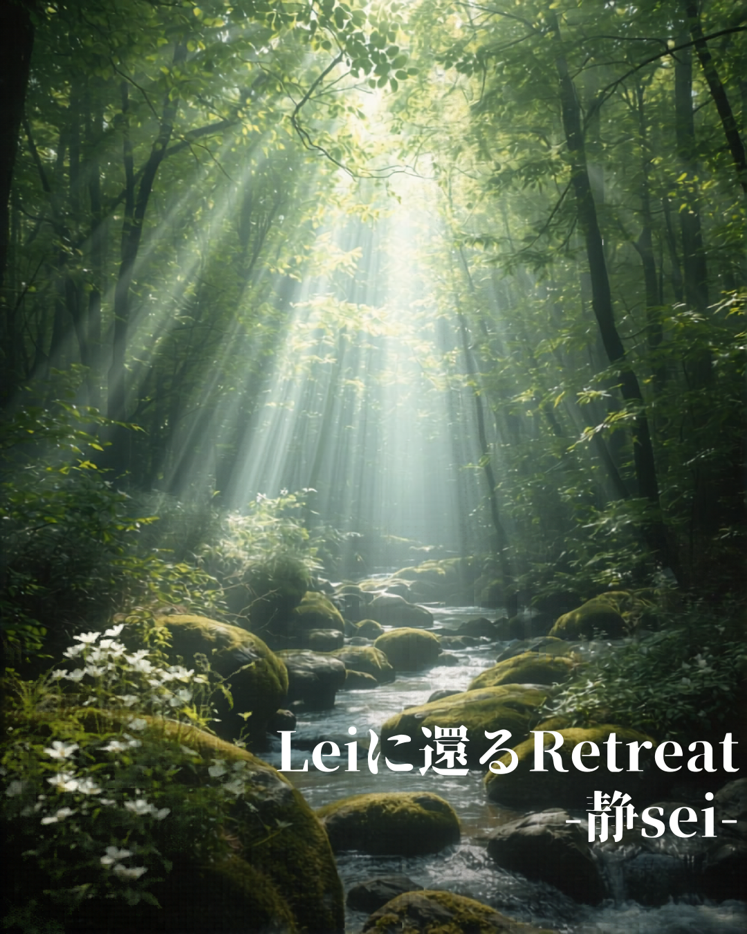 レイビレッジ主催：Leiに還るリトリート-静sei-のご案内　※月1開催
